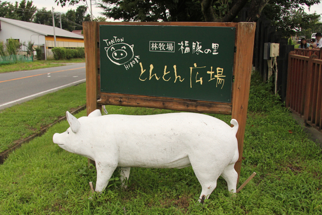 群馬県前橋にある とんとん広場 の福豚を使ったとんかつとステーキはトンでもない美味さだった 旬ネタ 日刊カーセンサー